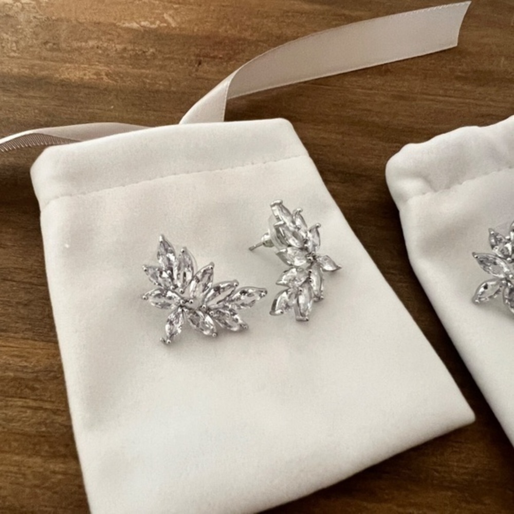 3/$25 (2) New Silver Leaf Earrings w/ White Pouch
